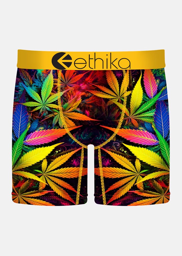 Ethika Uomo The Mid - Mutande A Vestibilità Media, Bianco OG, Tessuto Elasticizzato 4 Direzioni
