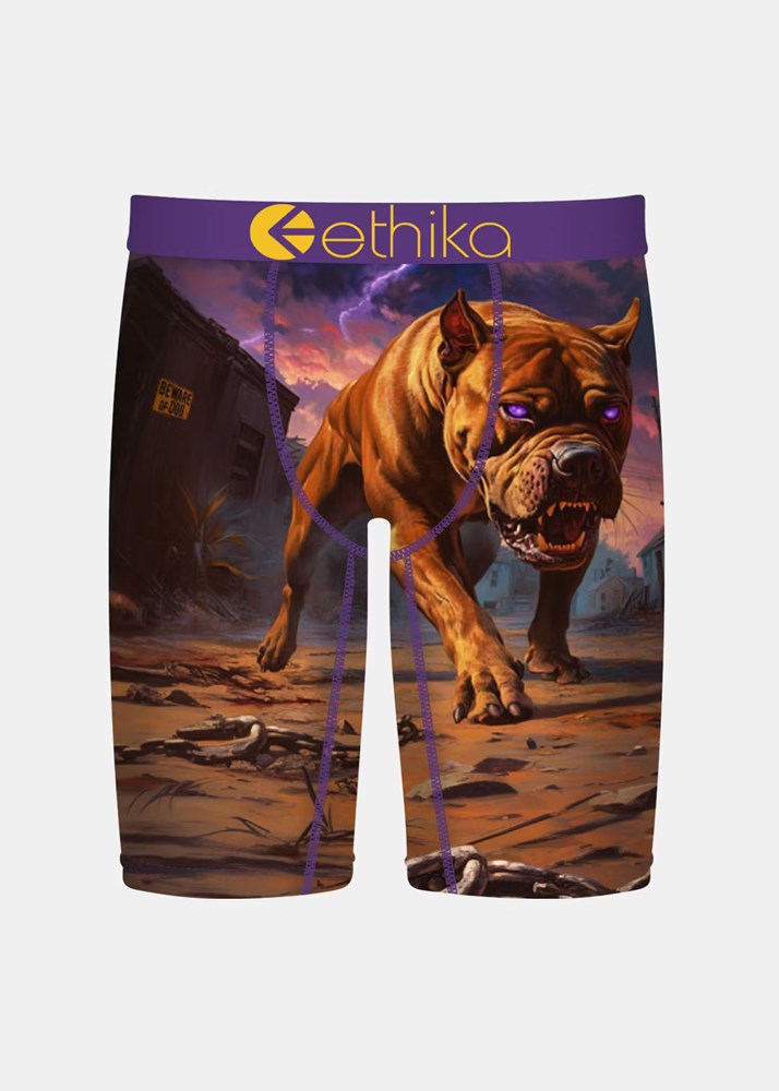 Boys Terror Terrier Staple