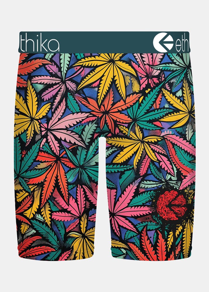 Mens Bomber Weedland Staple