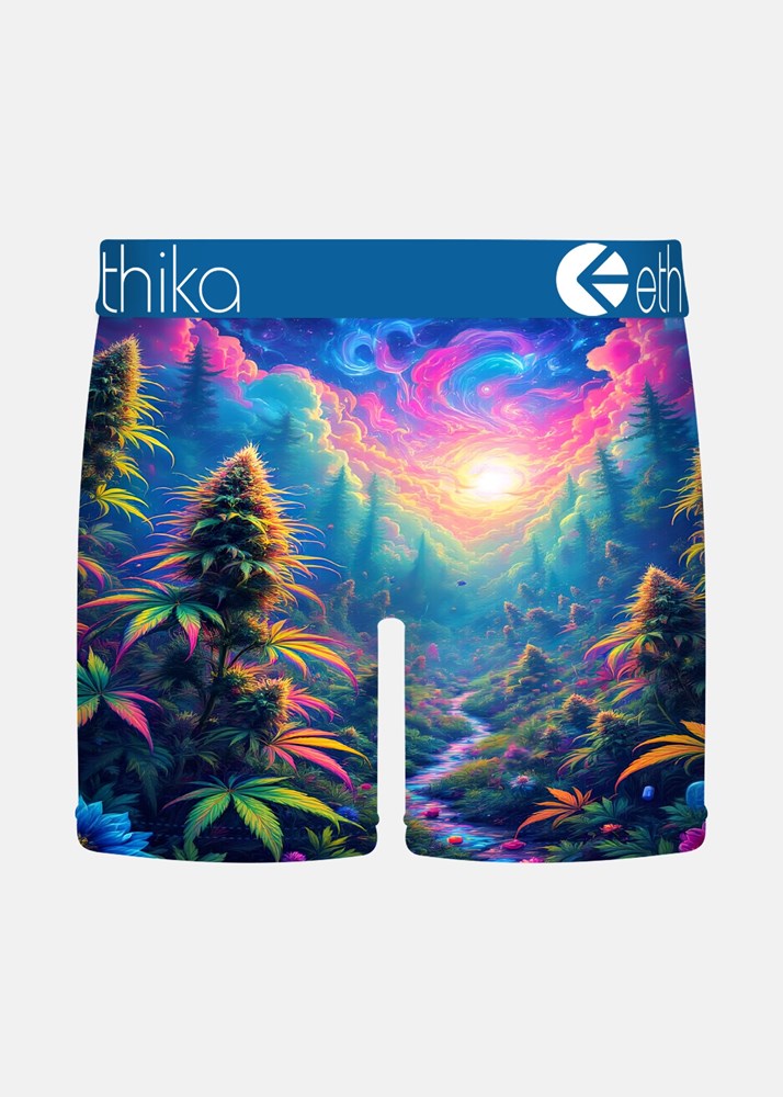 Mens Indica Dreams Mid
